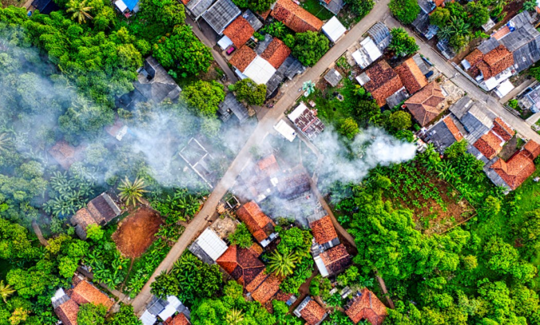 Menciptakan peluang usaha di desa