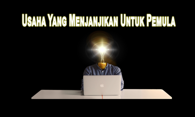 Usaha Yang Menjanjikan Untuk Pemula